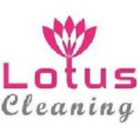 Lotus Couch Steam Cleaning Clayton image 1